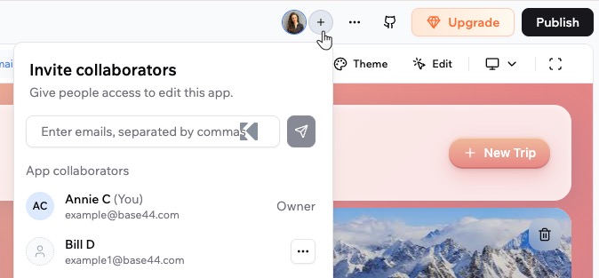 Choosing who can access your app - Base44 Support Documentation
