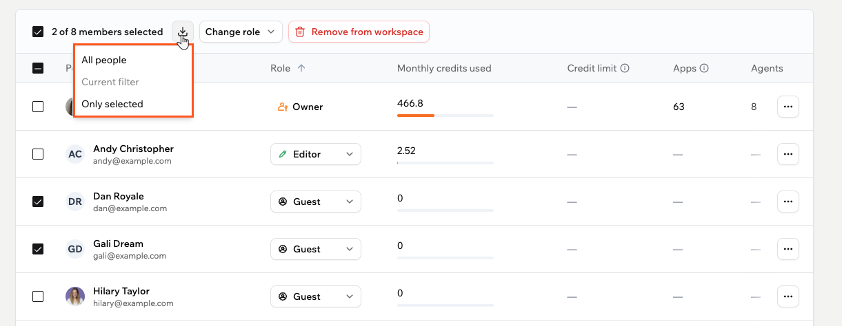 Managing your workspace members - Base44 Support Documentation