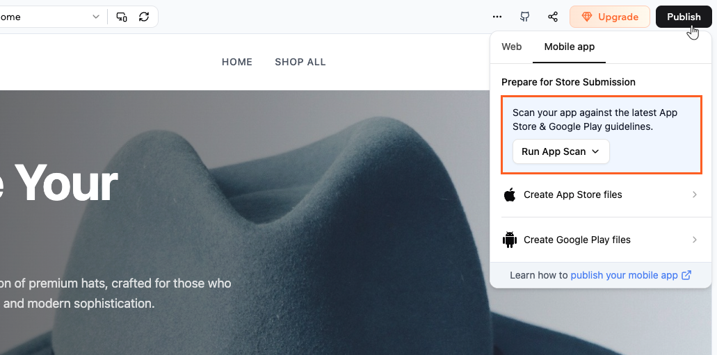 Scanning your app for issues for submission to app stores