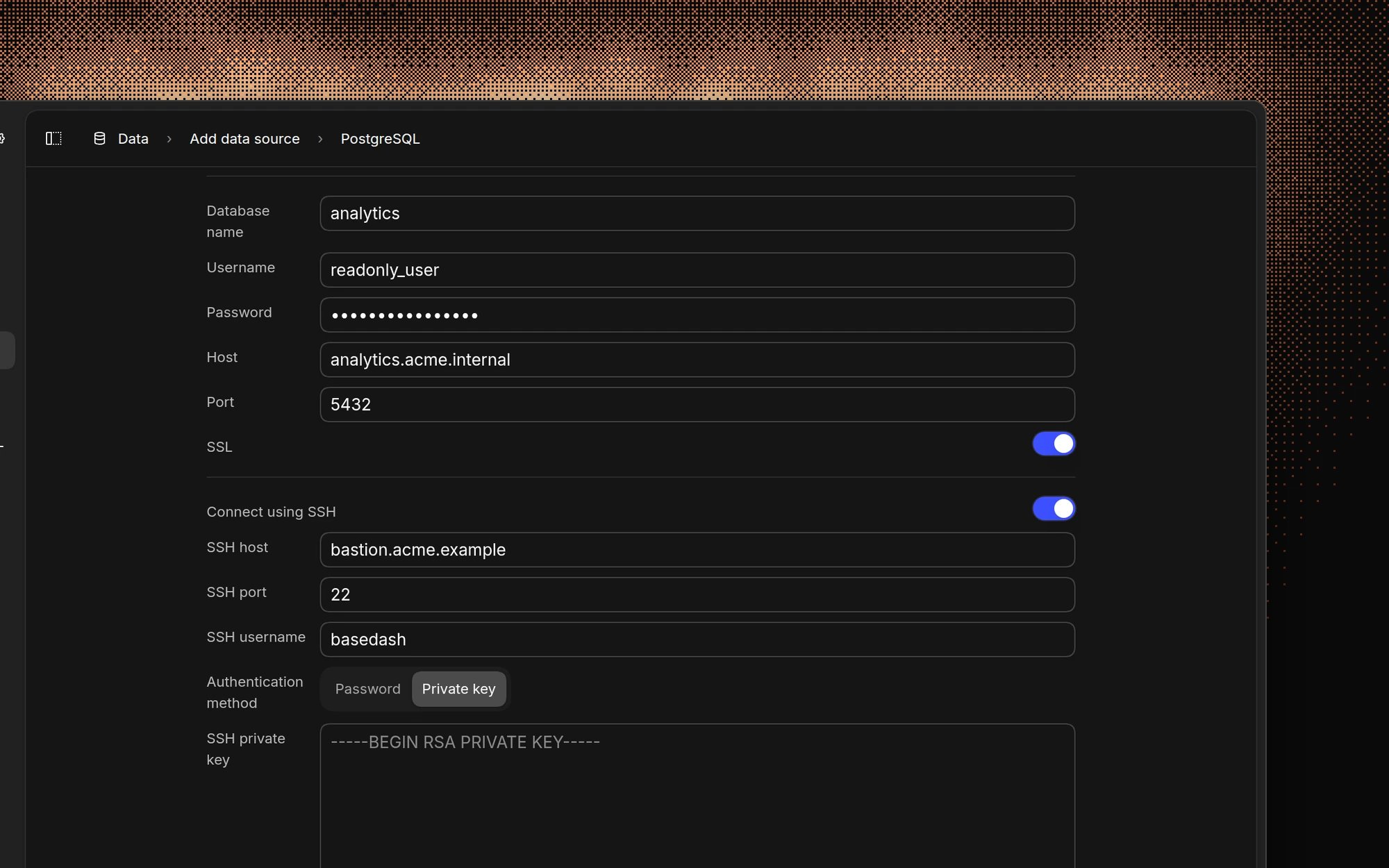 The PostgreSQL connection form with credentials filled in, SSL on, and Connect using SSH on, showing the SSH host, port, username, Private key authentication method, and private key fields