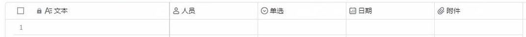 更新字段使用示例 - 效果展示