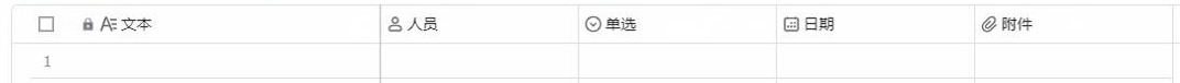 更新字段使用示例 - 效果展示