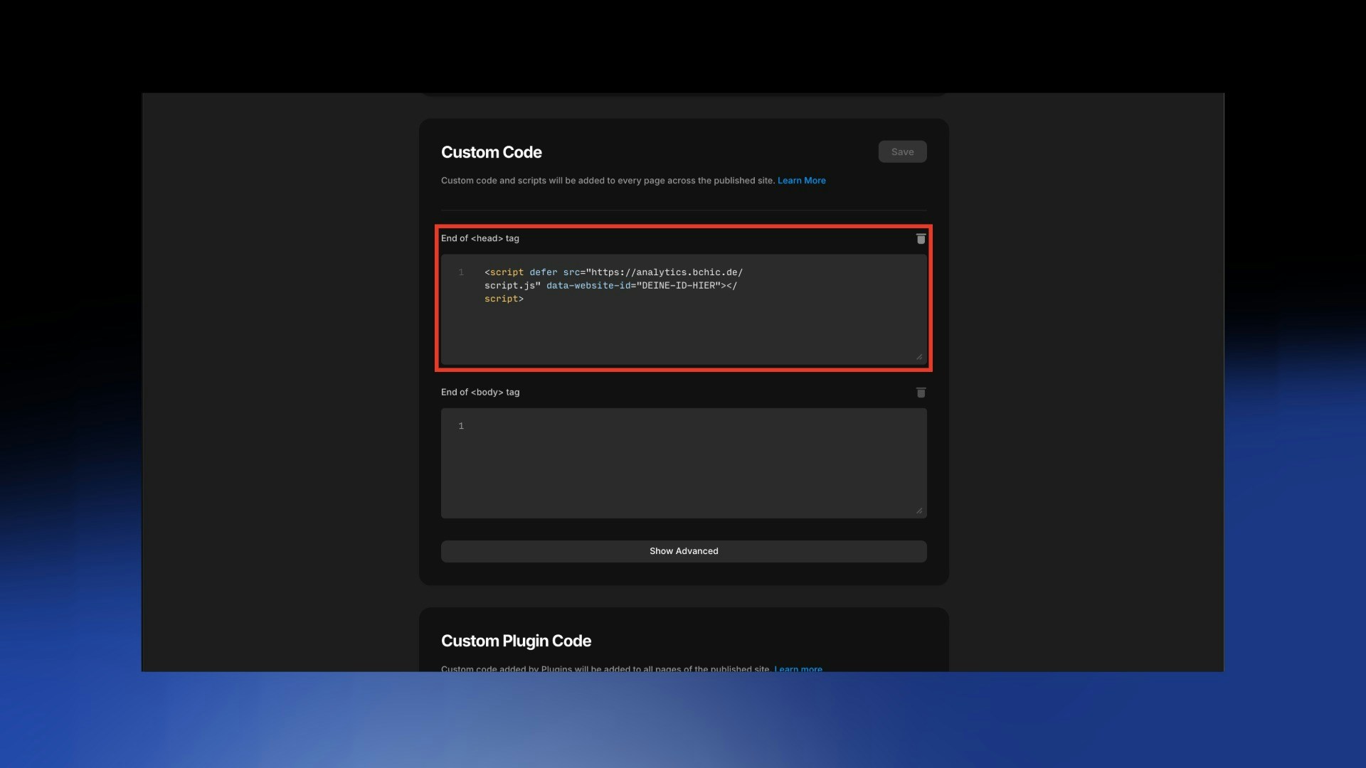 Framer Custom Code Settings
