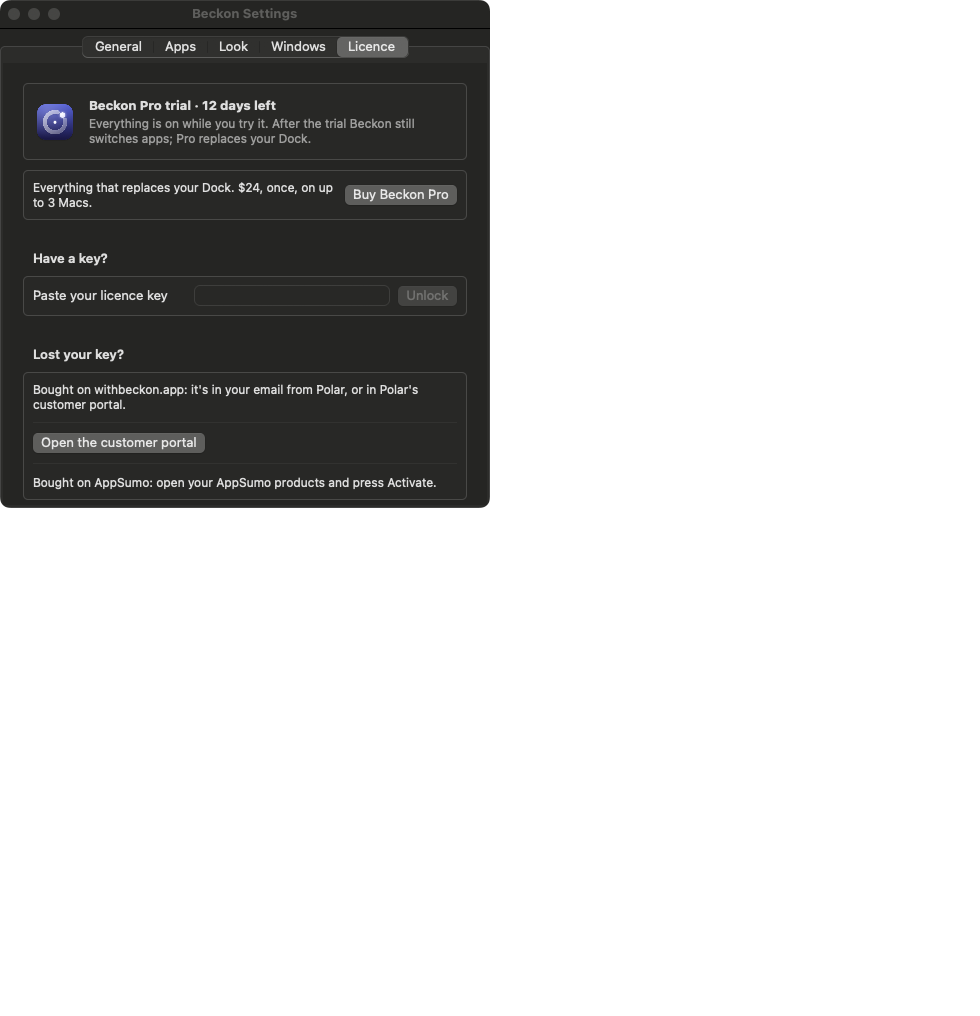 Settings, Licence tab during the trial