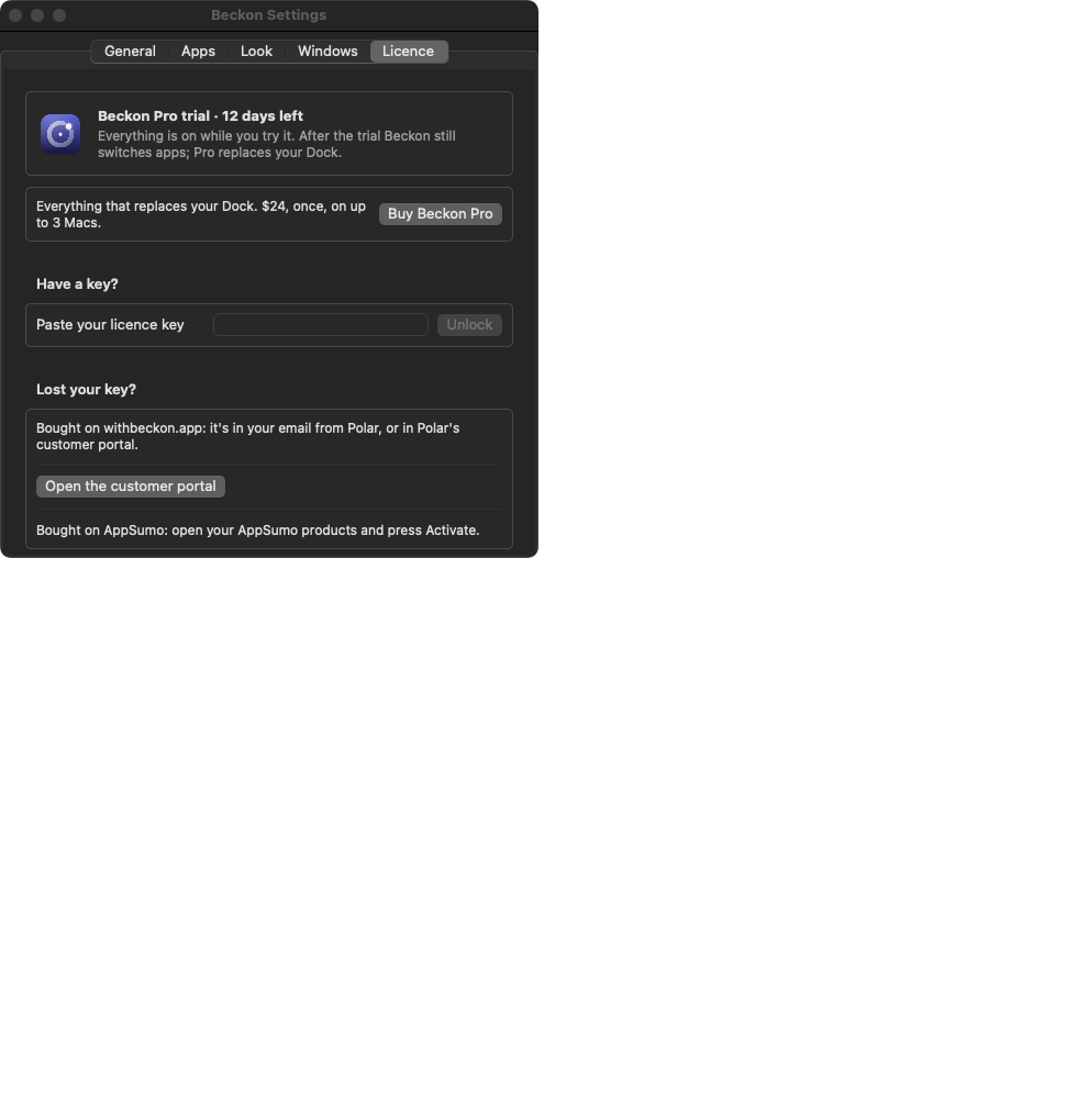 Settings, Licence tab during the trial
