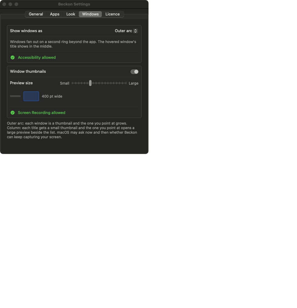 Beckon Settings, Windows tab