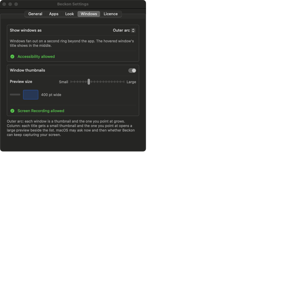 Beckon Settings, Windows tab