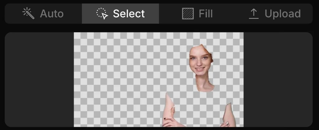 SwitchX Mask - Select mode result
