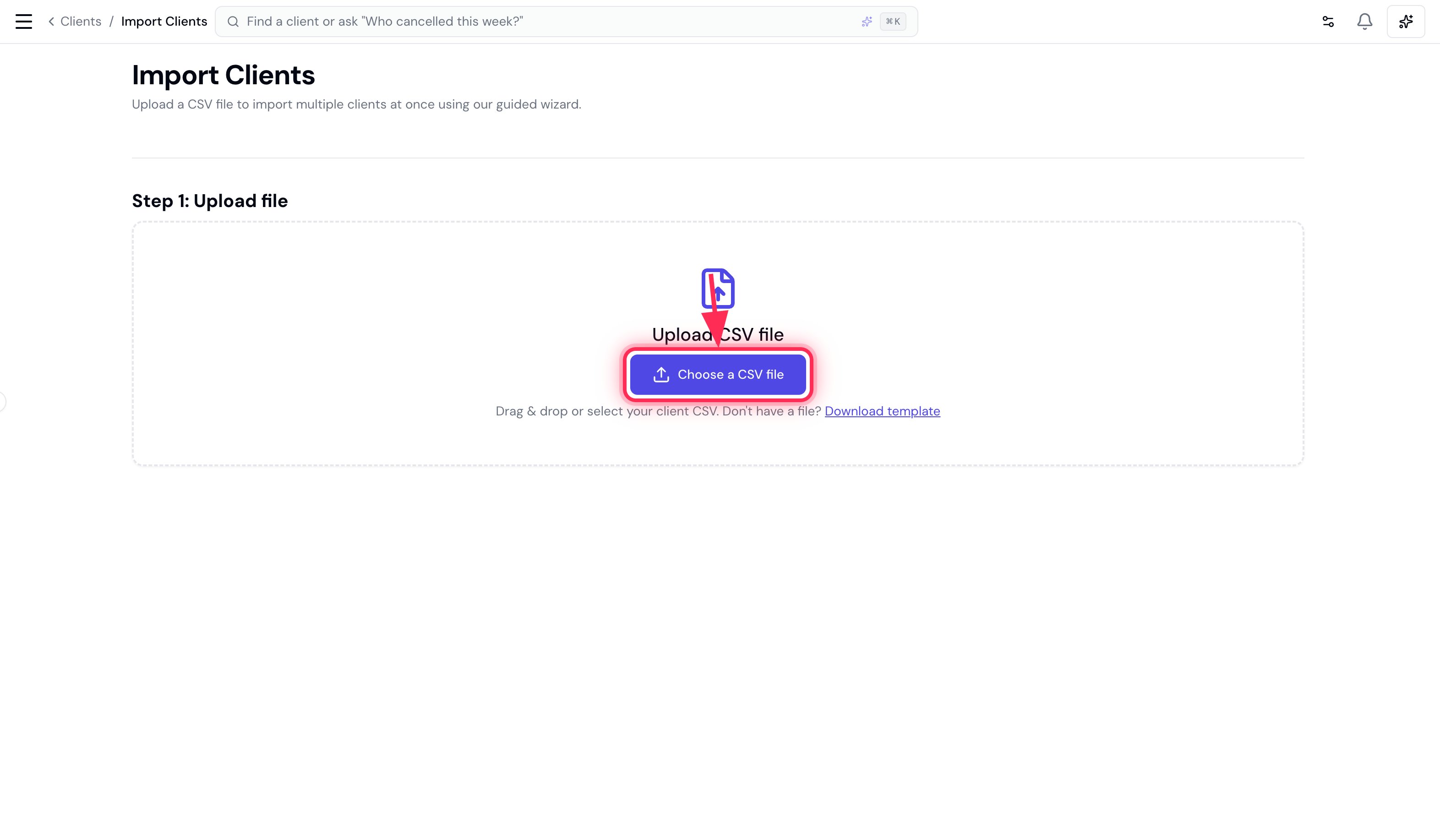 The Import Clients upload screen with the Choose a CSV file button highlighted