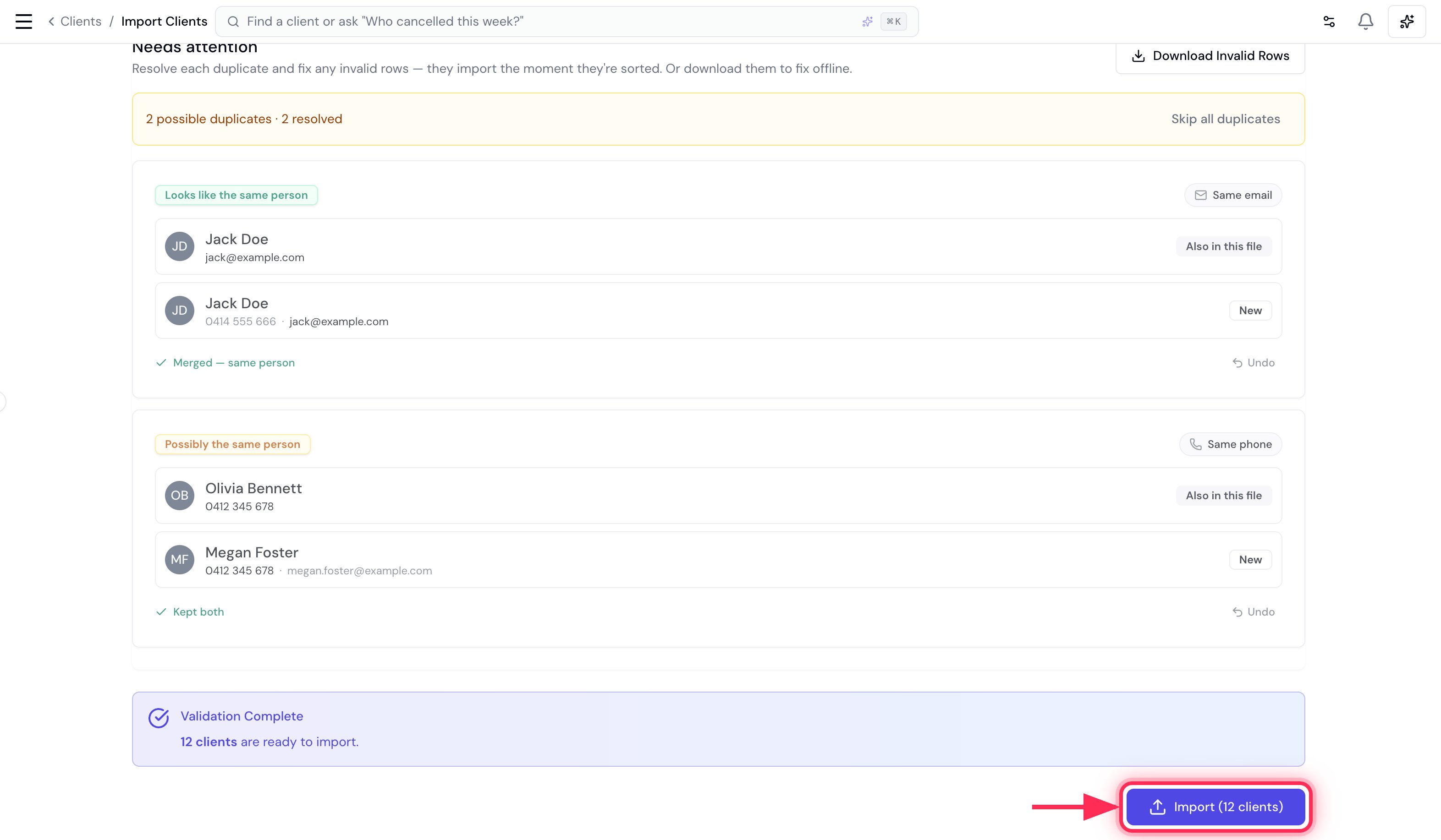 The preview with all duplicates resolved and the Import button highlighted