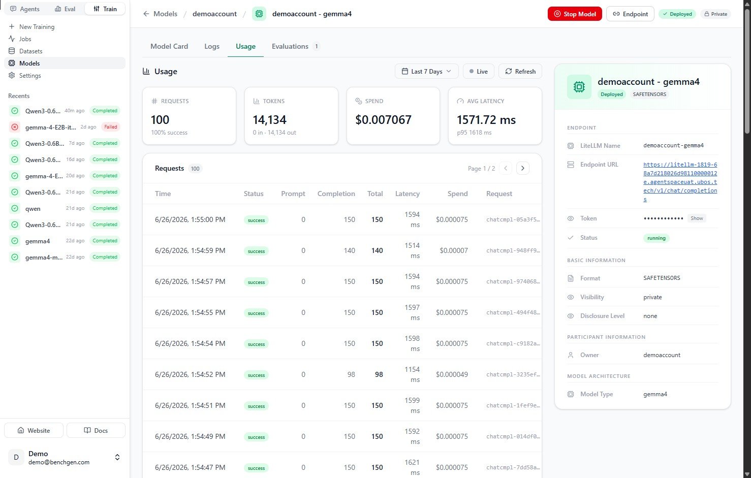 The Usage tab with summary metric cards and the request log