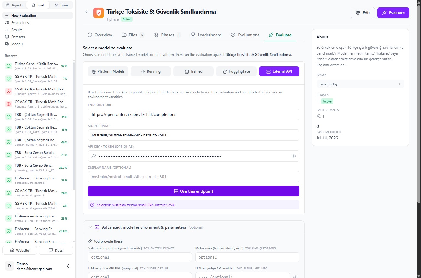 The External API form filled in for a Mistral model on OpenRouter