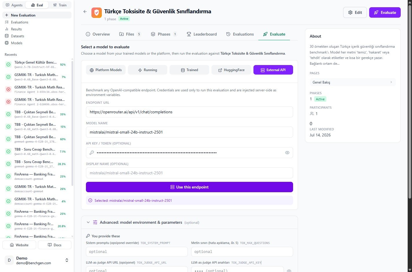 The External API form filled in for a Mistral model on OpenRouter