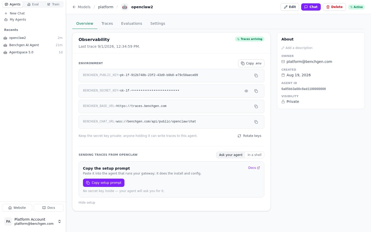 The Observability card with the agent's key pair, trace status and the Copy setup prompt button