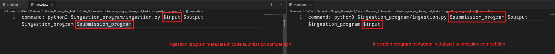 Ingestion program folder containing metadata file