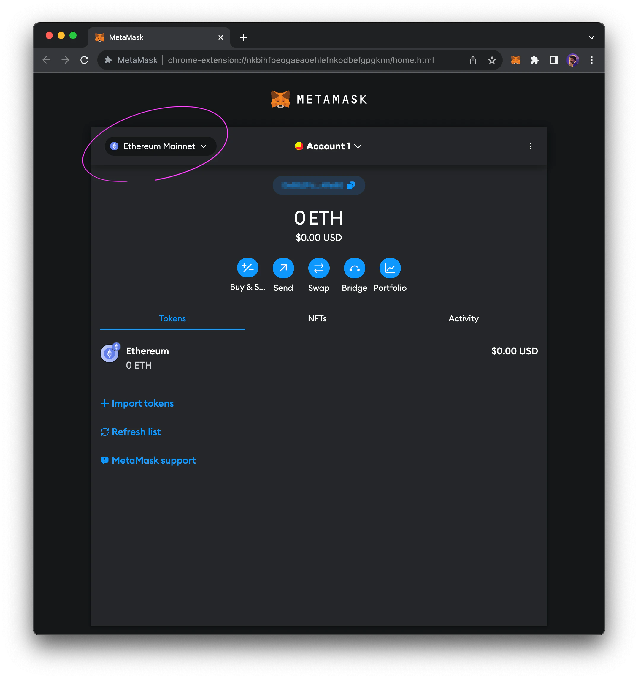 MetaMask network dropdown menu