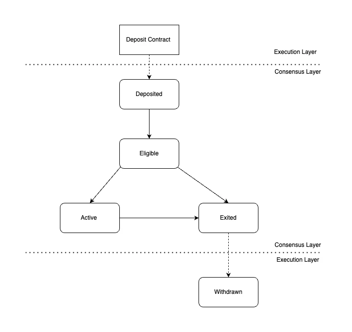 Diagram showing the Berachain validator lifecycle states: Deposited, Eligible, Active, Exited, and Withdrawn