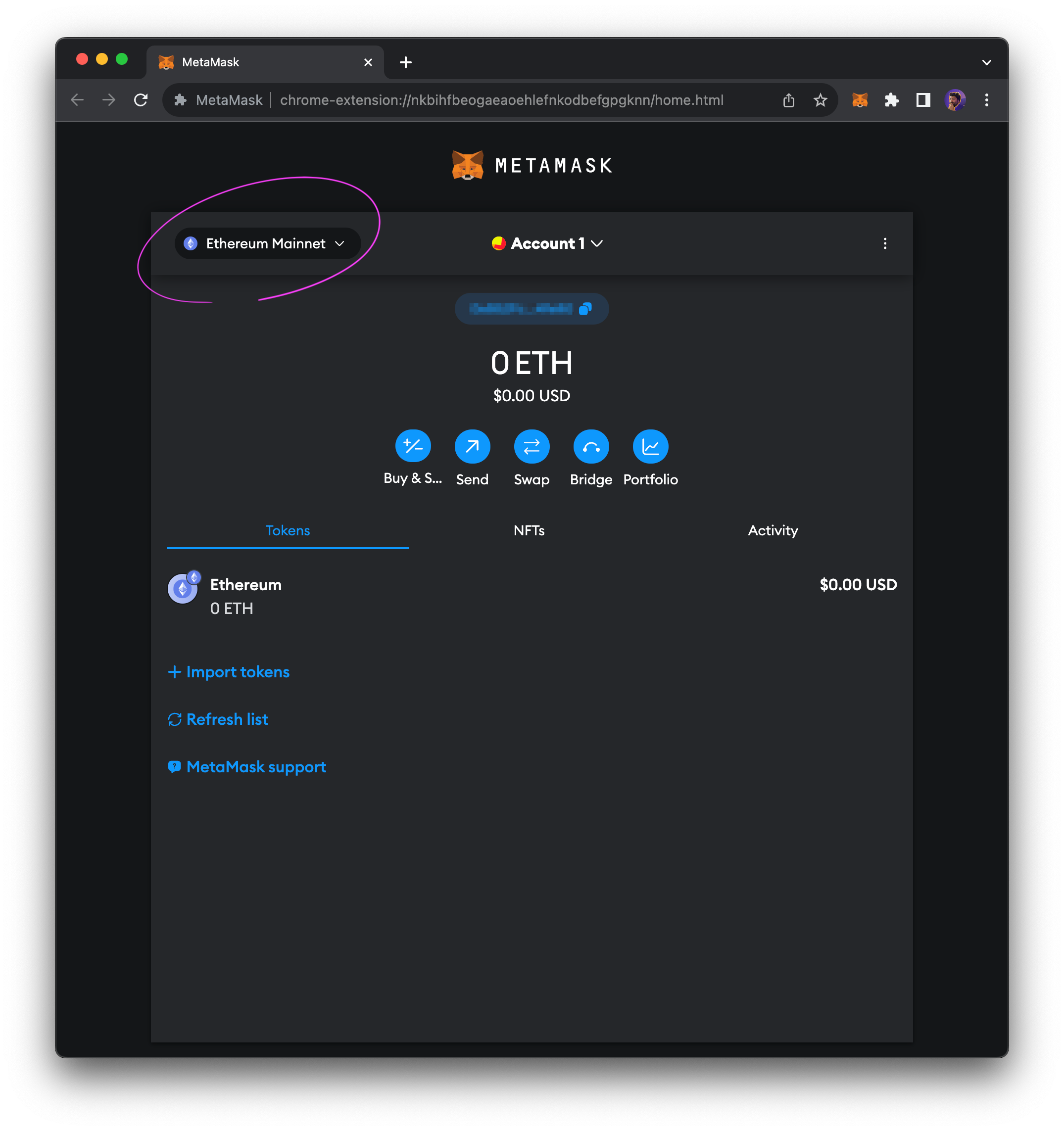 MetaMask network dropdown menu