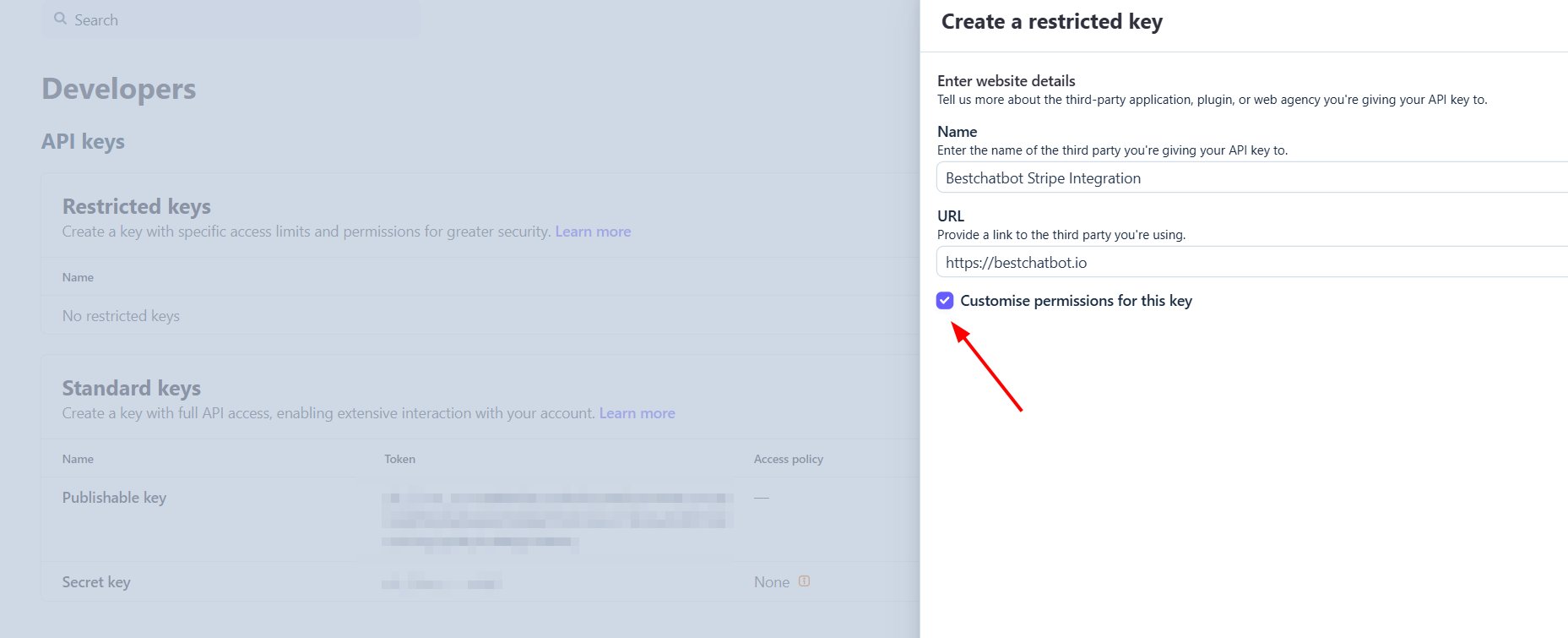 Stripe Enter website details form with name, URL, and Customise permissions checked