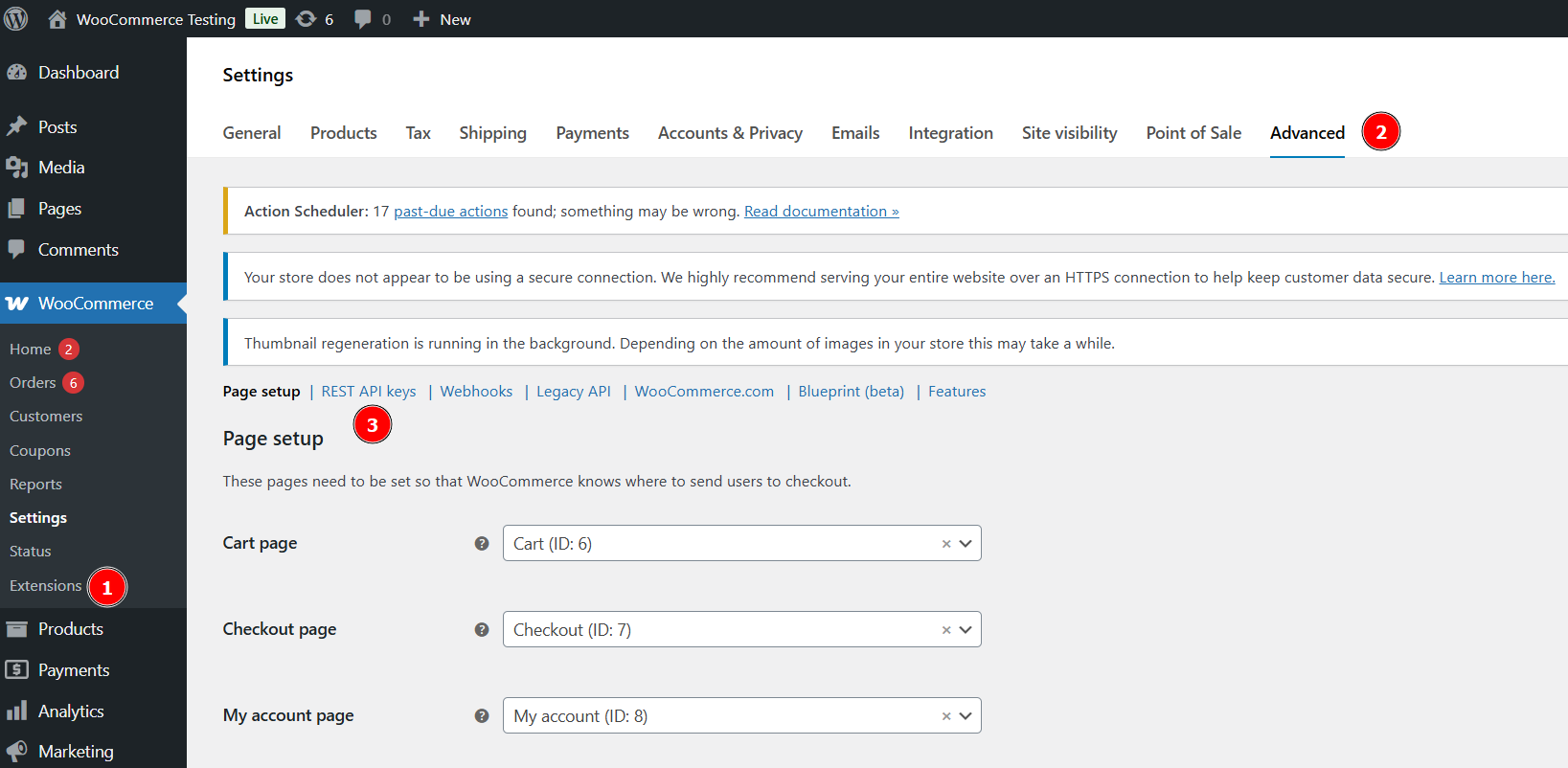 WooCommerce Settings Advanced tab with the REST API keys section