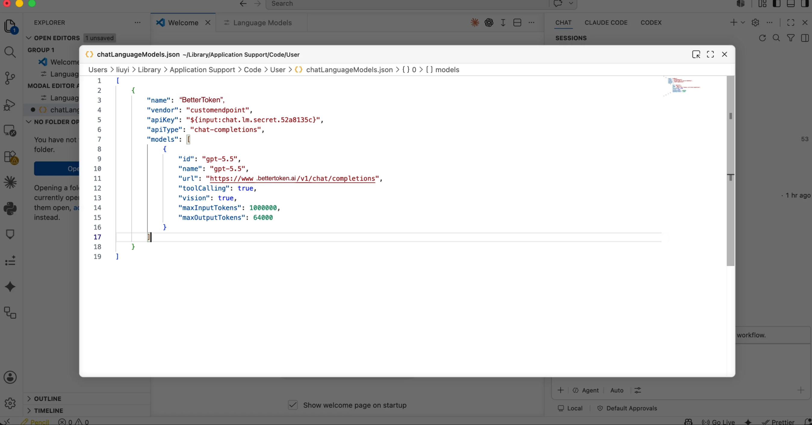 chatLanguageModels.json で BetterToken のモデル URL、toolCalling、vision、トークン上限を設定します。