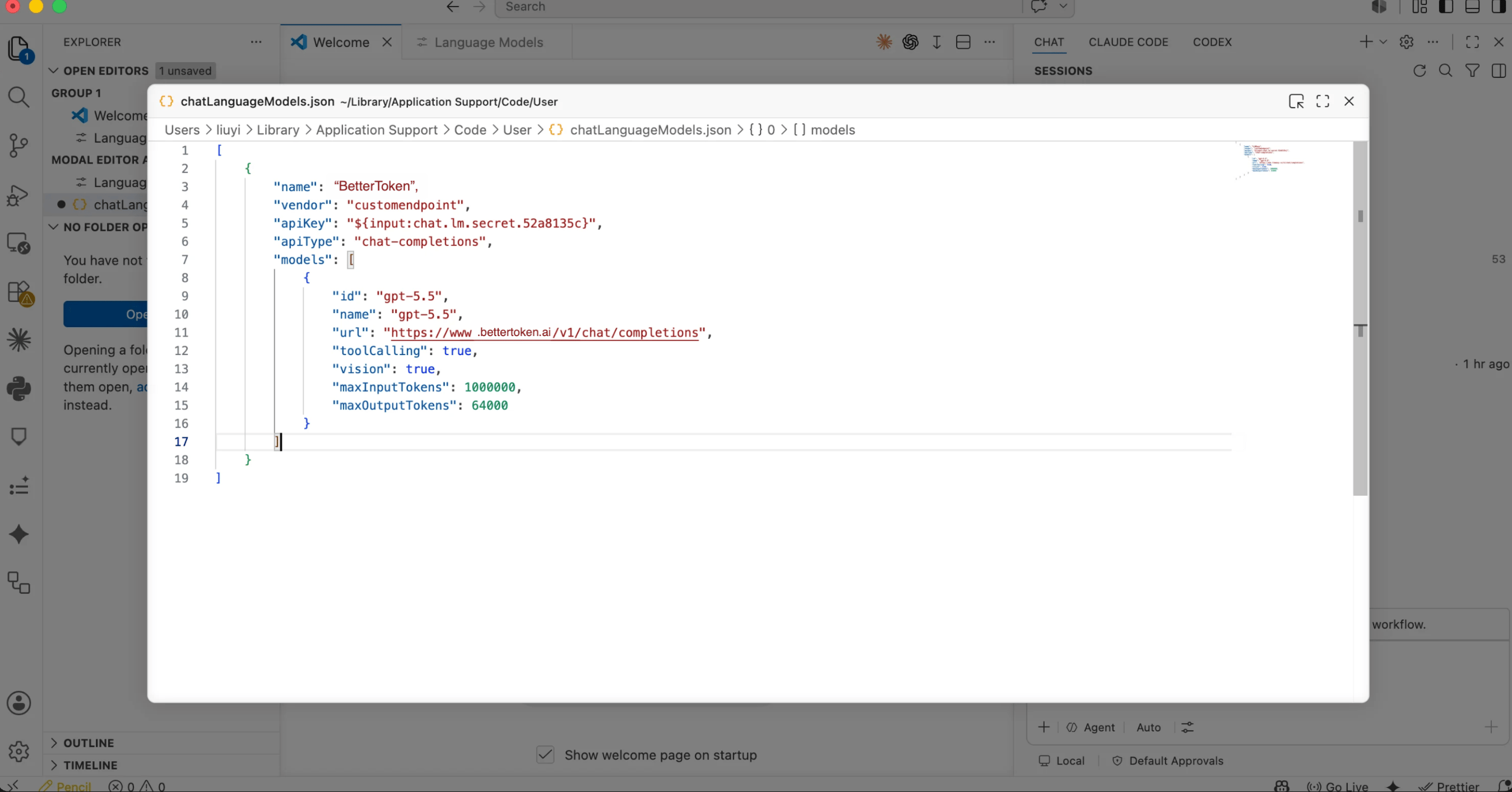 Configura la URL del modelo de BetterToken, toolCalling, vision y los límites de tokens en chatLanguageModels.json.
