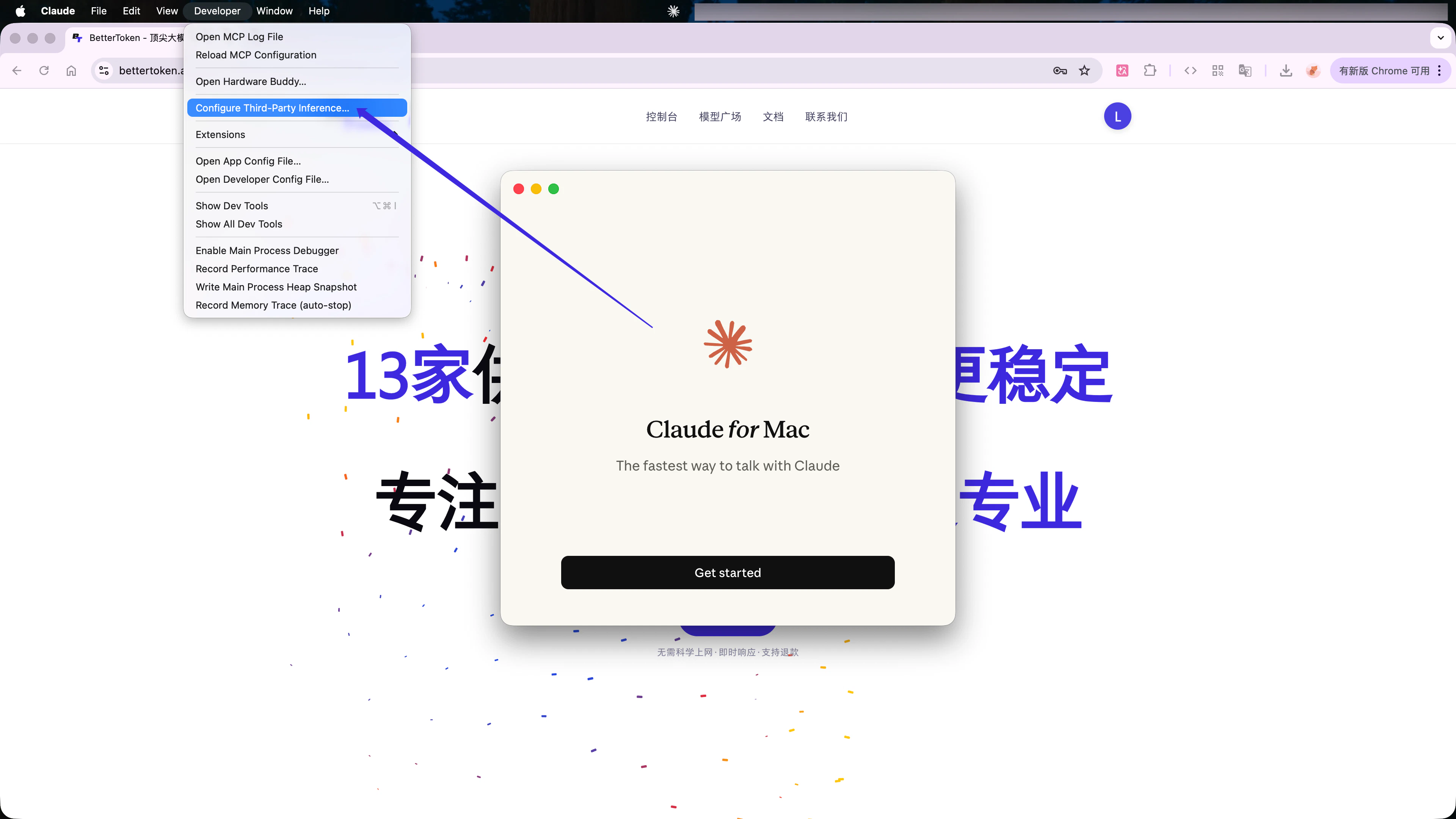 在 Developer 菜单中选择 Configure Third-Party Inference。