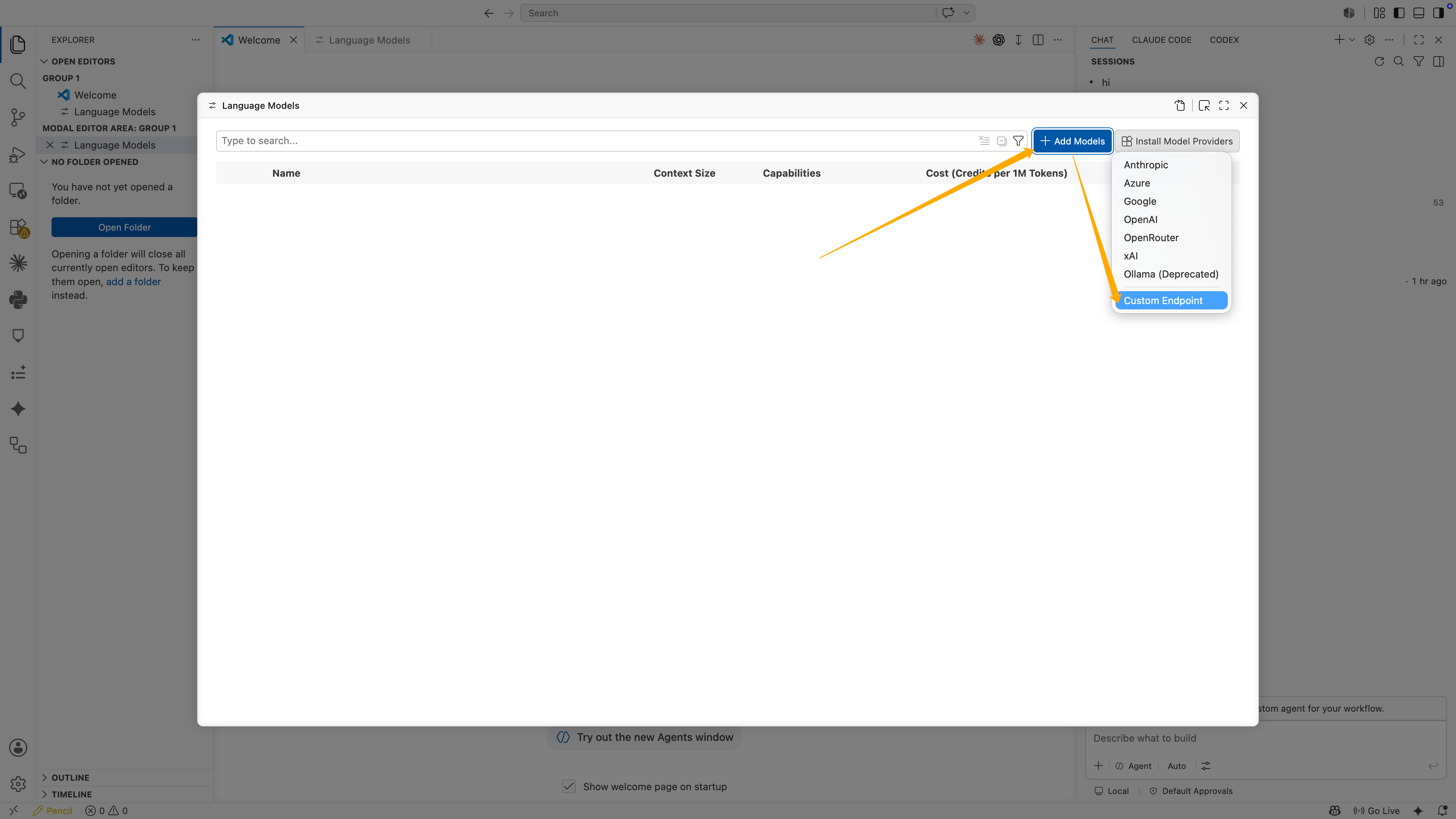 Кнопка Add Models в Language Models и выбор Custom Endpoint.