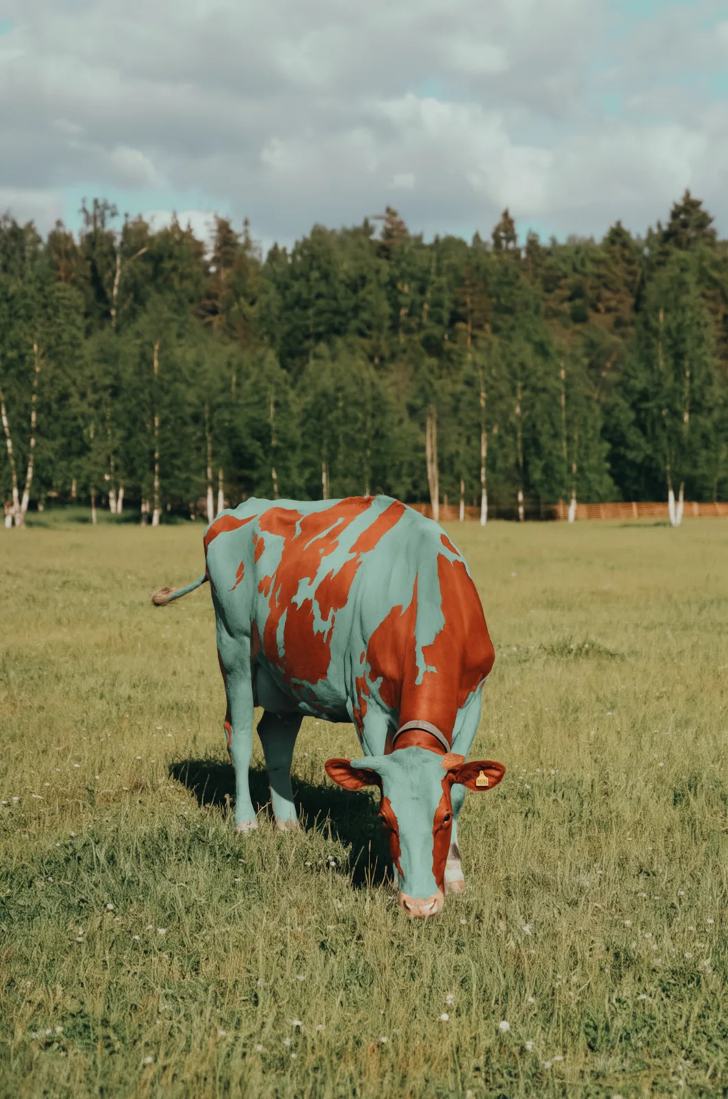 Output: cow with custom colors