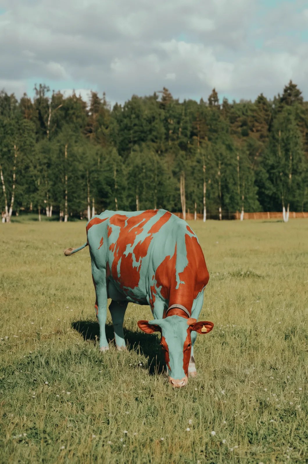 Output: cow with custom colors