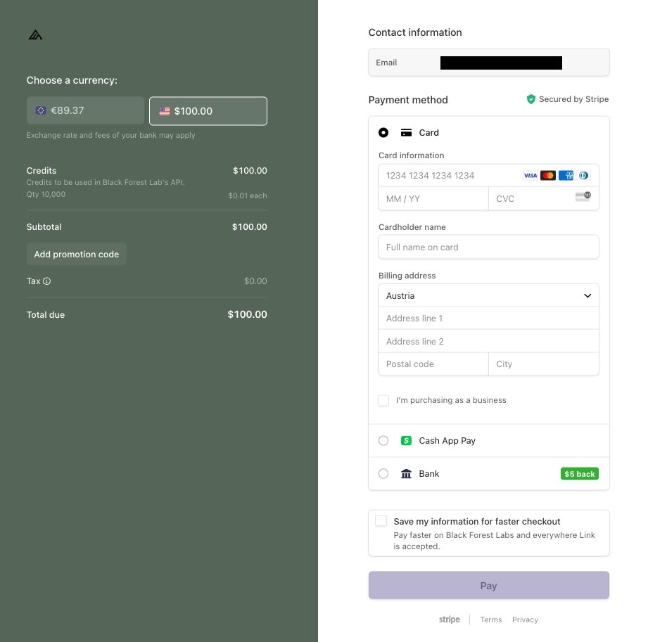 Stripe payment interface