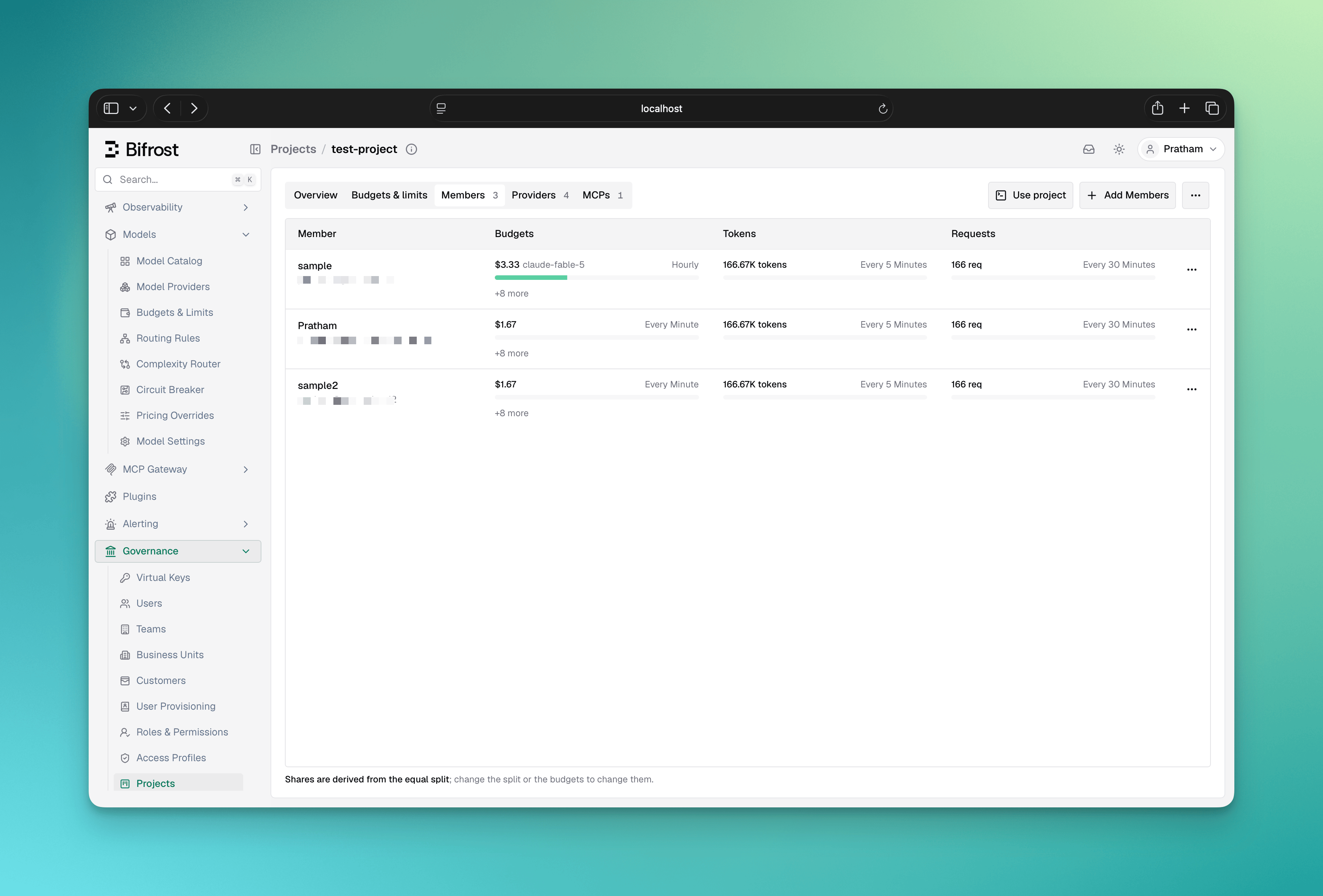 Members tab with per-member spend, token and request cap meters