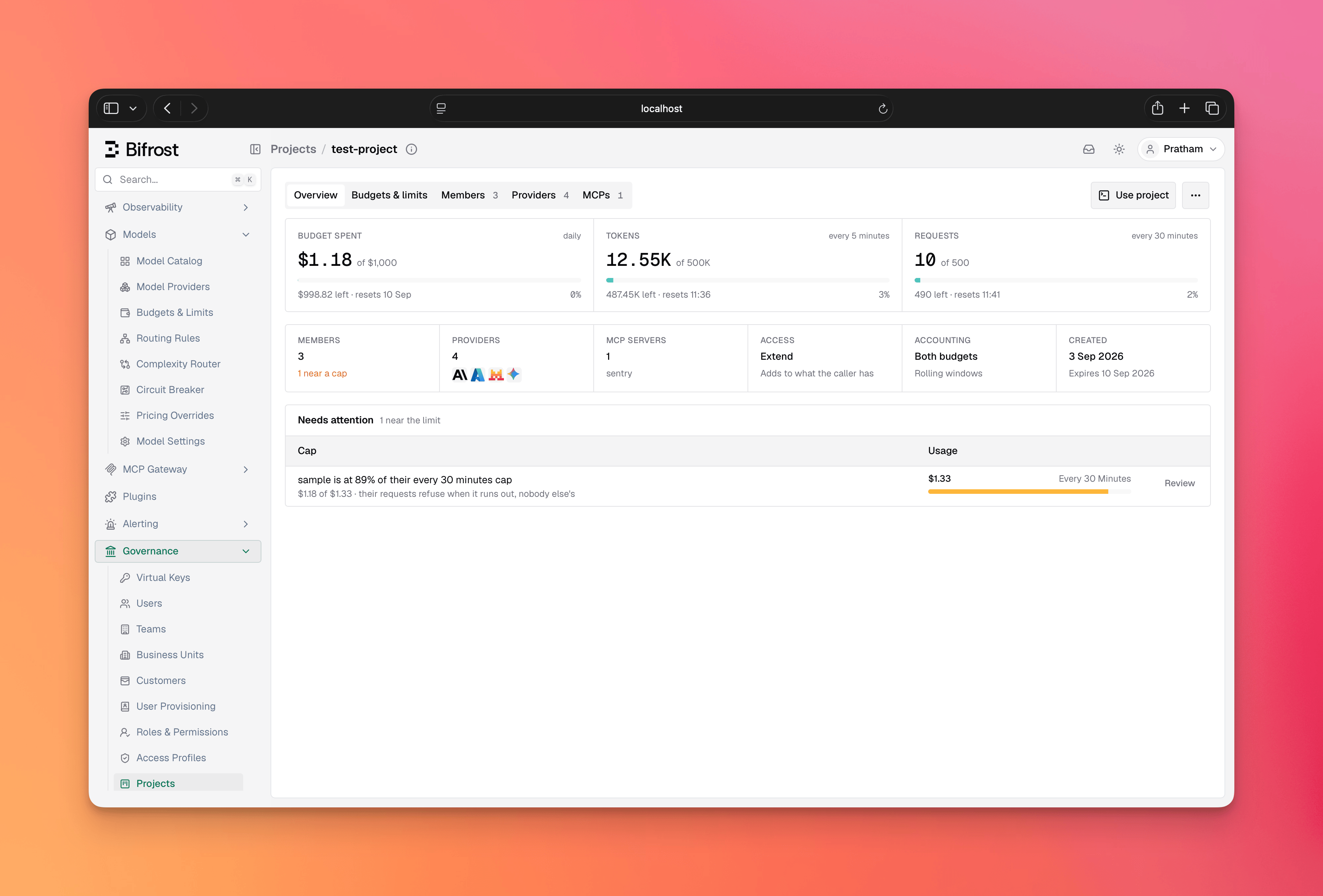 Project Overview tab with usage tiles and Needs attention card