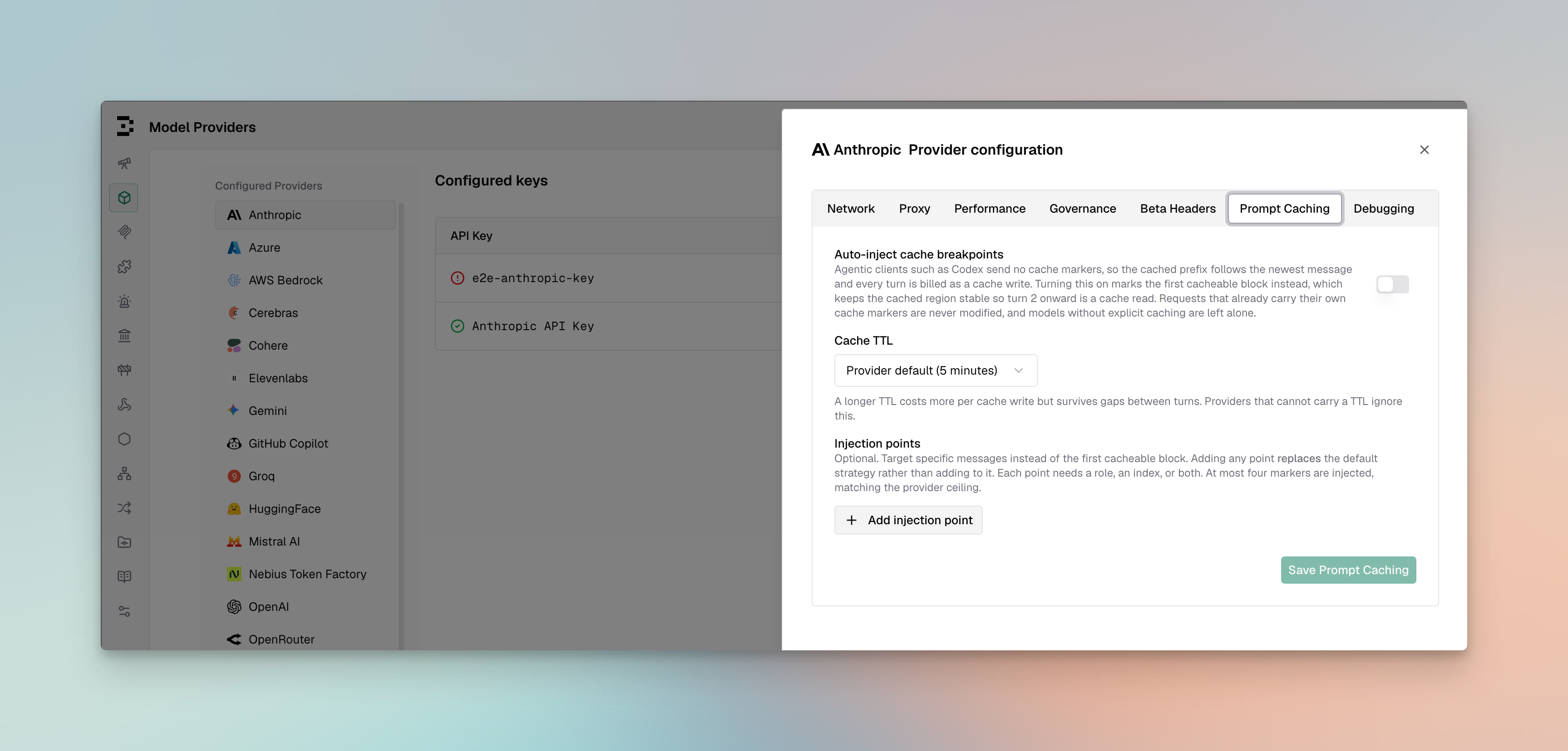Prompt Caching tab in the provider configuration sheet