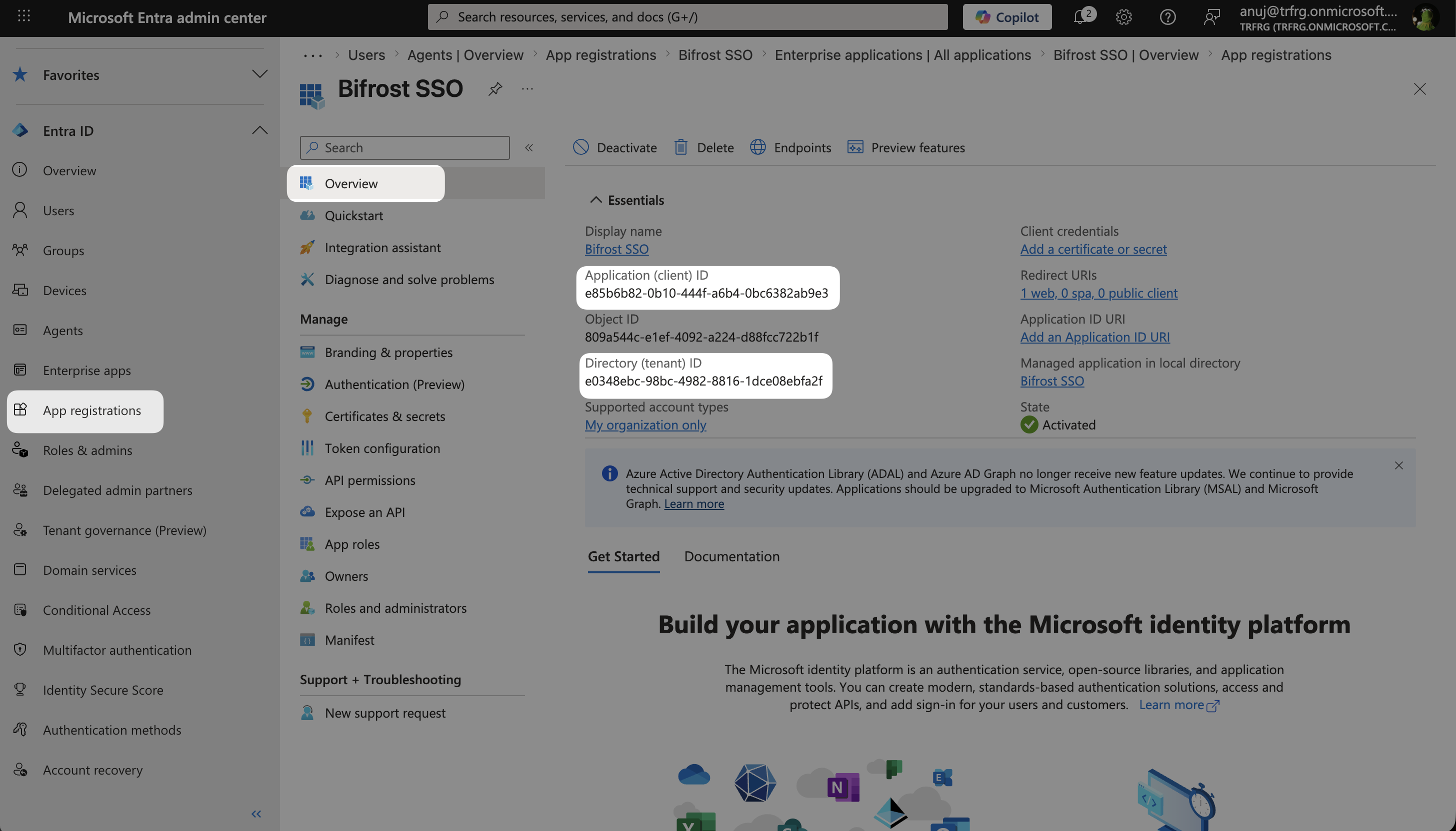Entra App Registration Overview page showing Application (client) ID and Directory (tenant) ID in the Essentials section