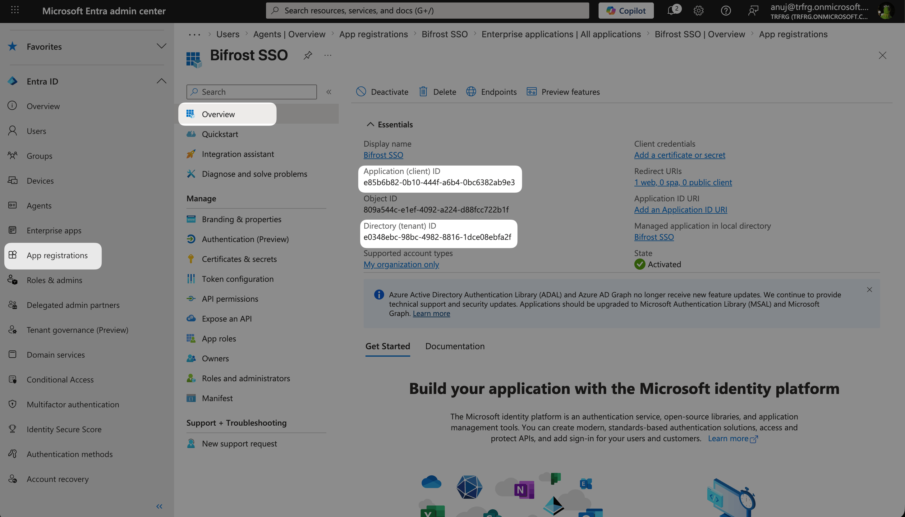 Entra App Registration Overview page showing Application (client) ID and Directory (tenant) ID in the Essentials section