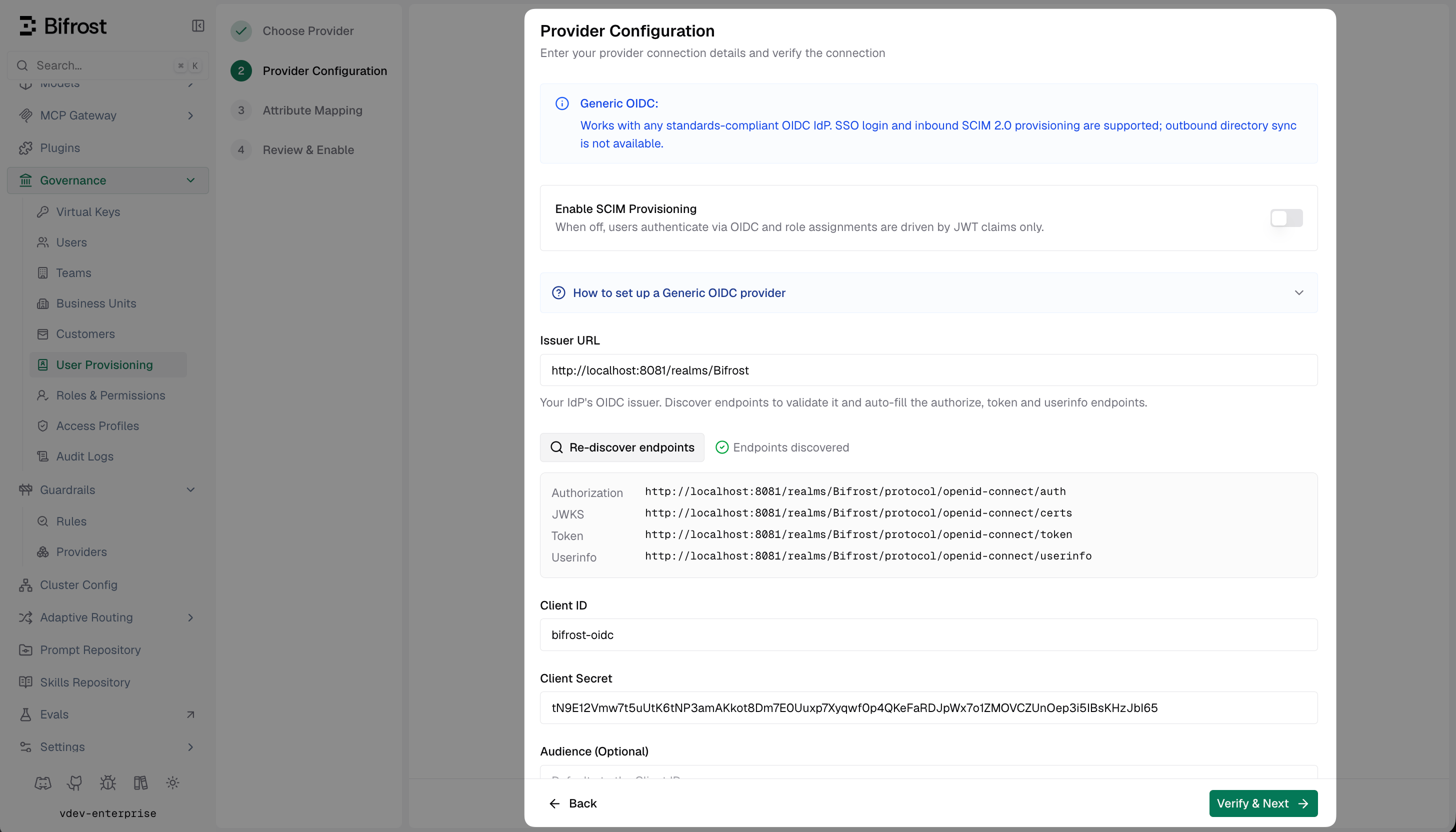Bifrost Provider Configuration form showing Issuer URL, discovered endpoints, Client ID, Client Secret, and optional Audience fields