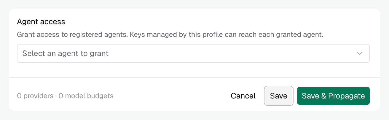 Agent access and Save & Propagate in the access-profile edit sheet