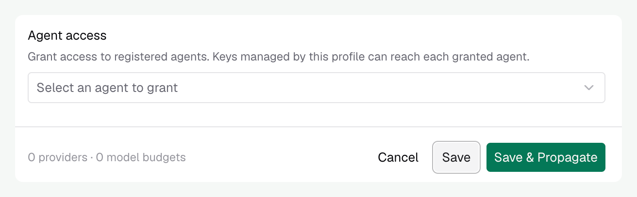 Agent access and Save & Propagate in the access-profile edit sheet