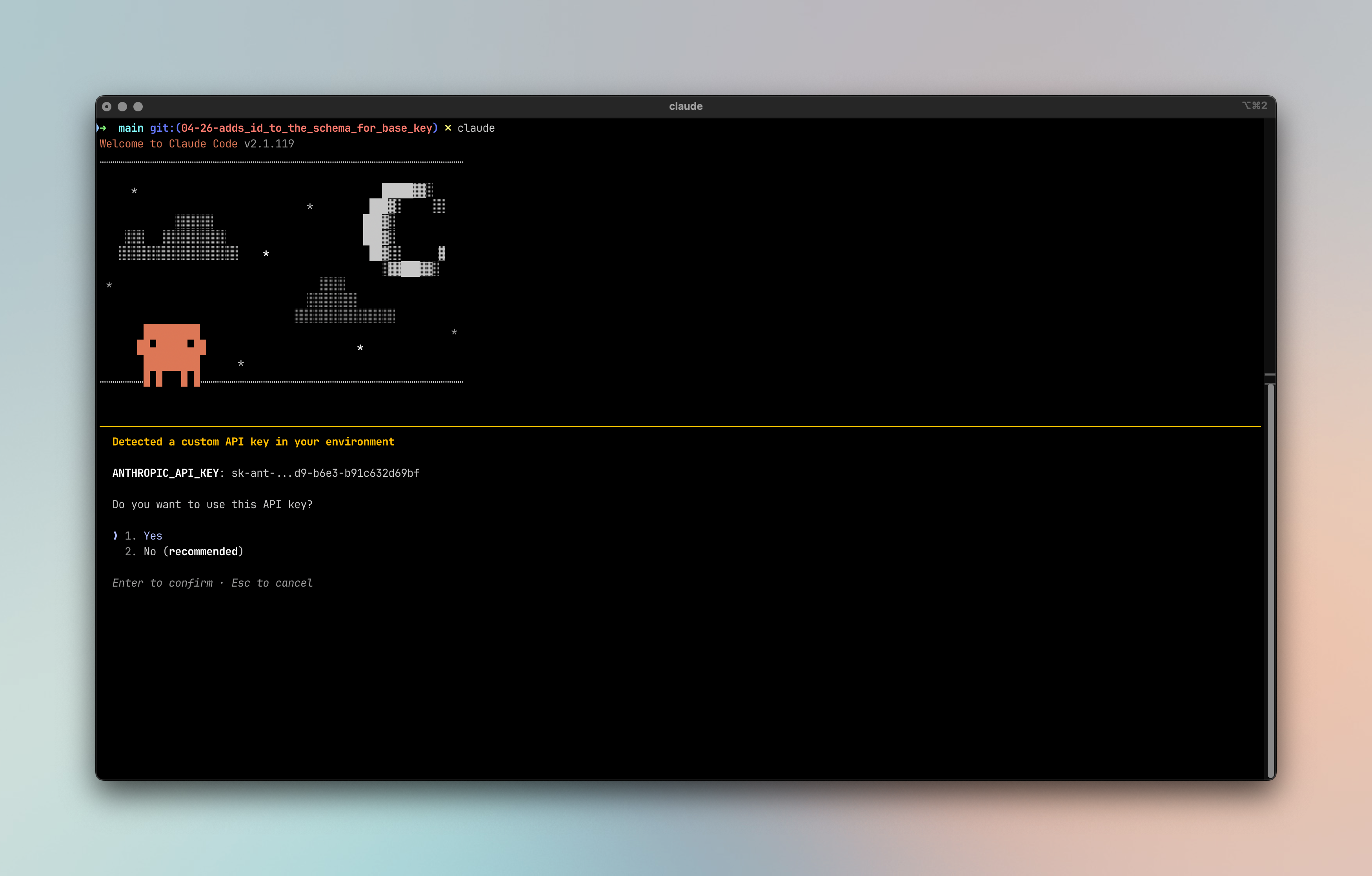 Claude cli API selection