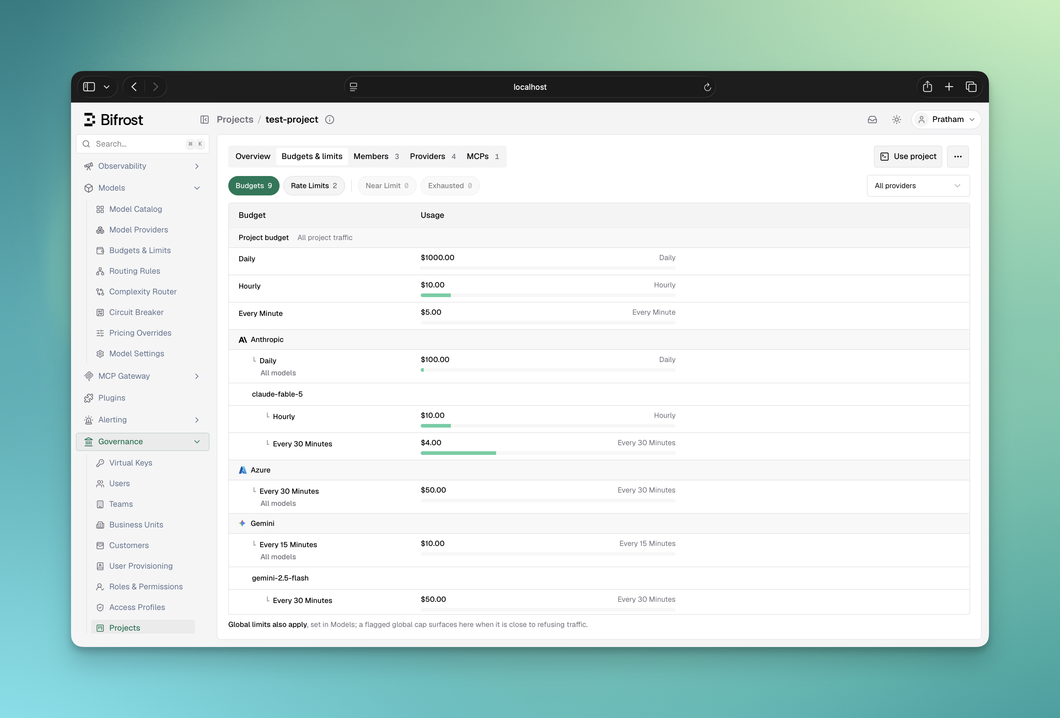Budgets and limits tab showing project, provider and model cap rungs with usage meters