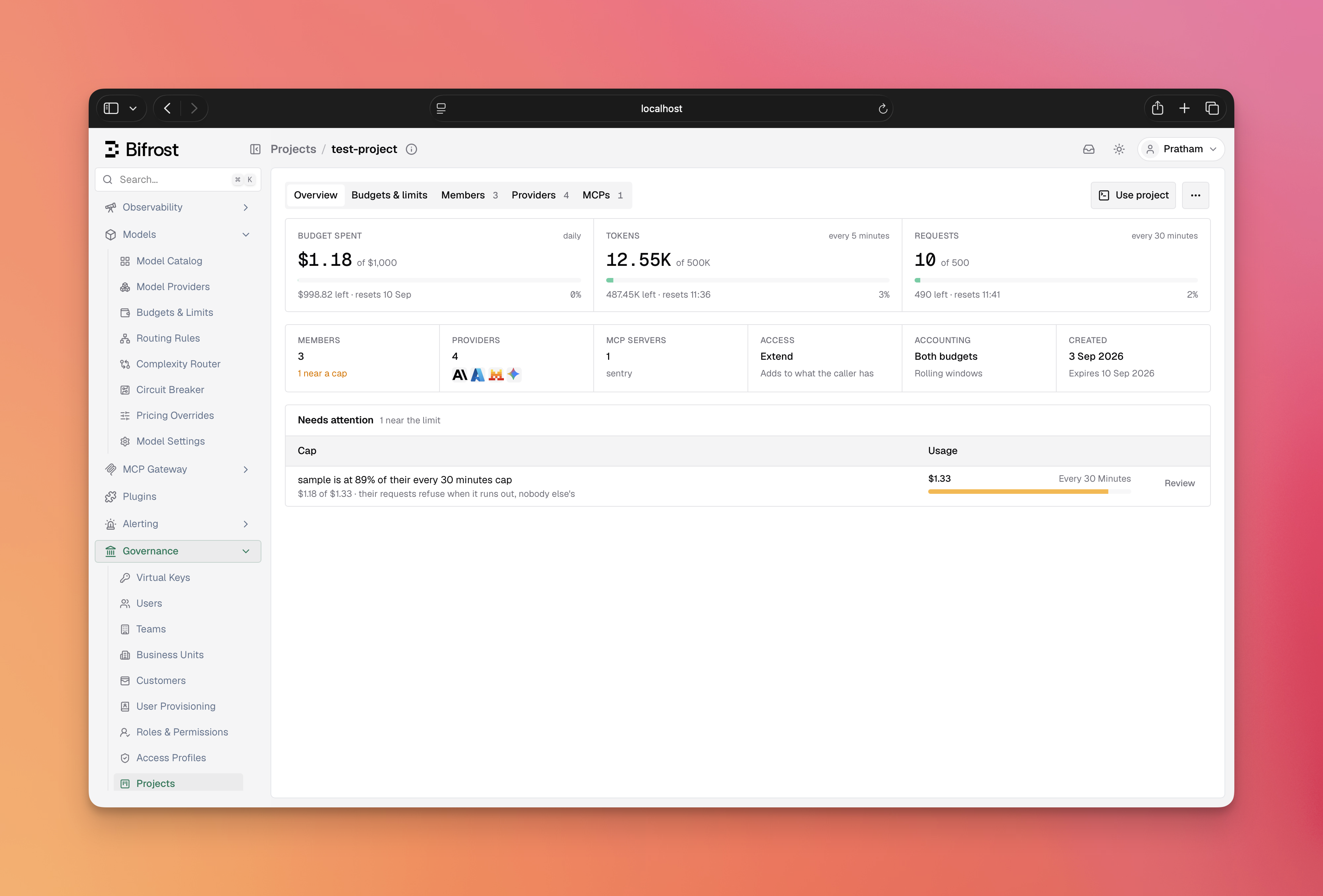 Project Overview tab with usage tiles and Needs attention card