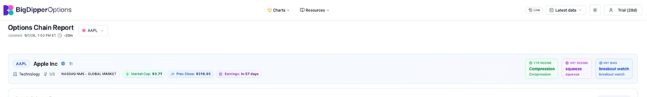 BigDipperOptions top navigation, Options Chain Report header, and AAPL summary metrics