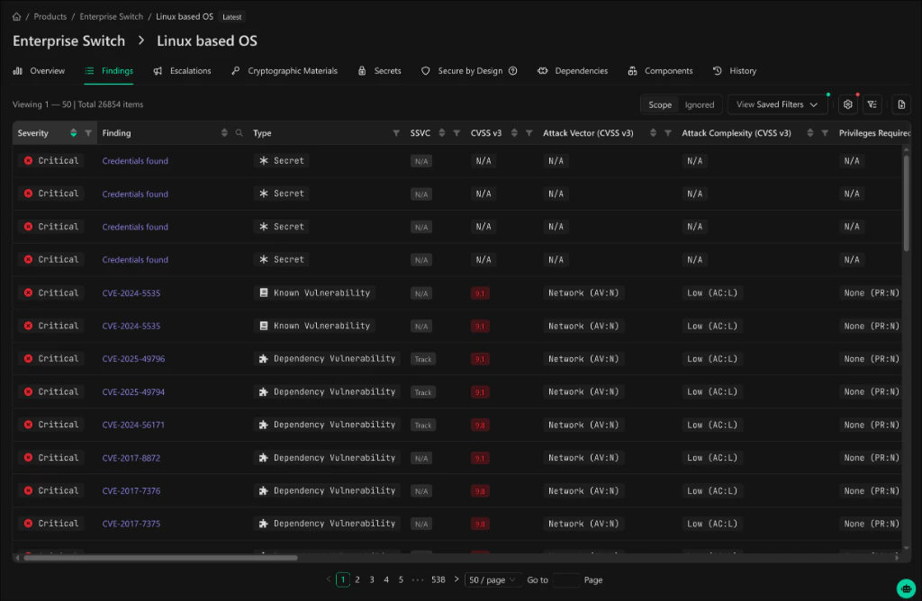 Findings grid showing CVSS columns
