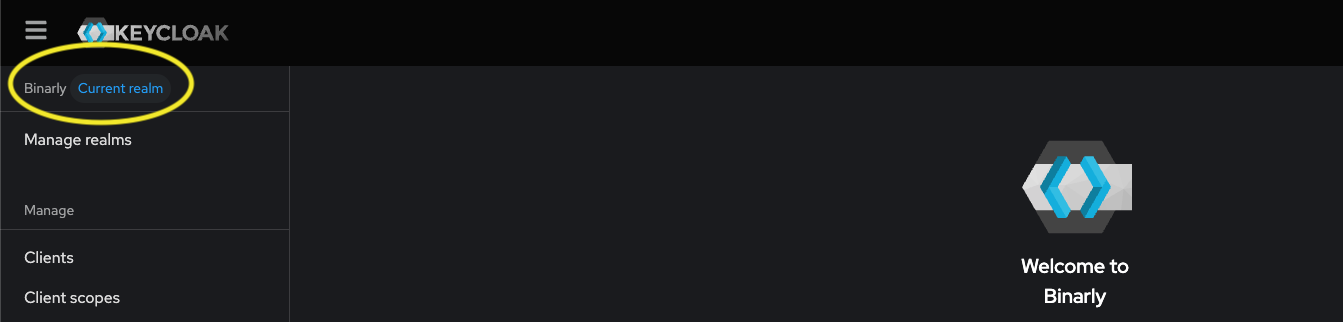 Verify BinarlyRealm