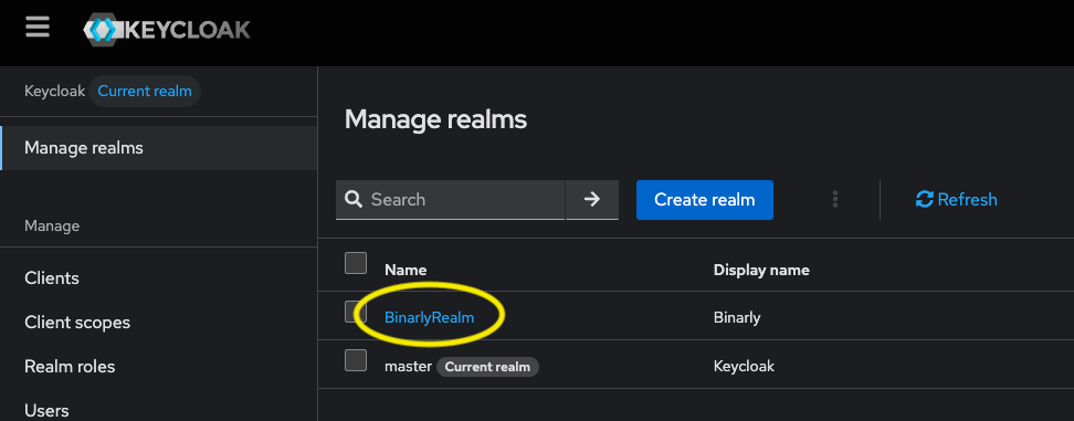 Select BinarlyRealm