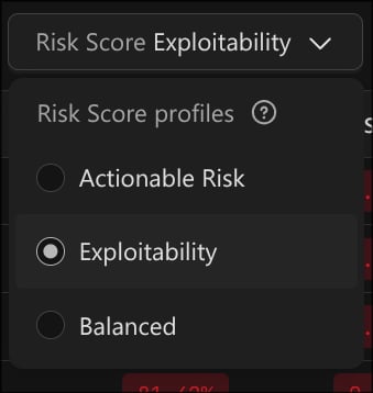 The Risk Score profile selector in the findings grid.