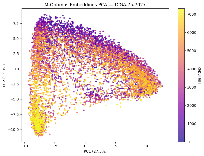Scatter plot of the first two principal components of tile embeddings