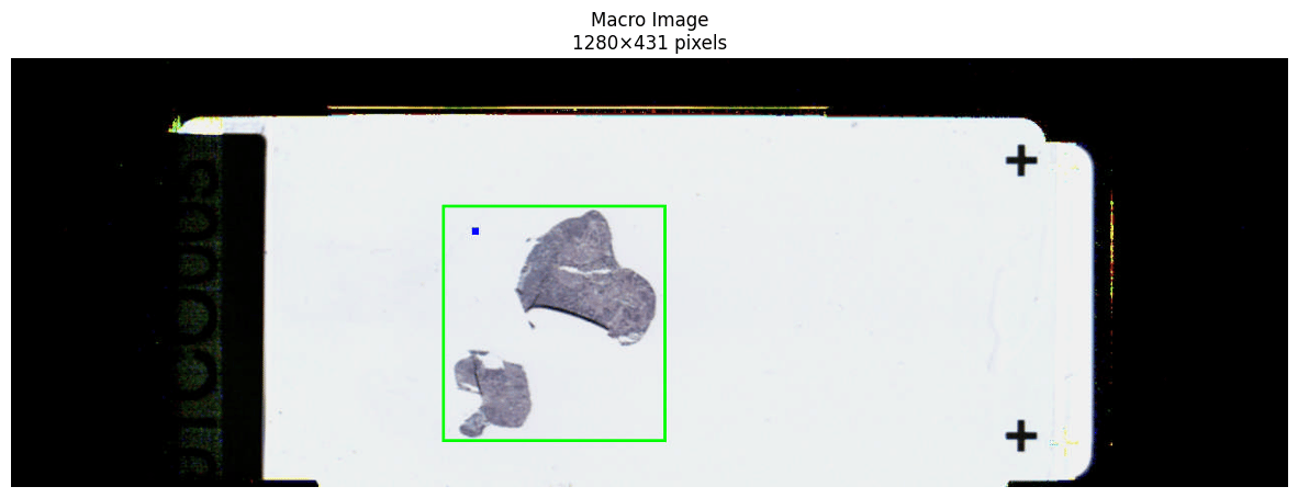 Macro associated image of the whole slide