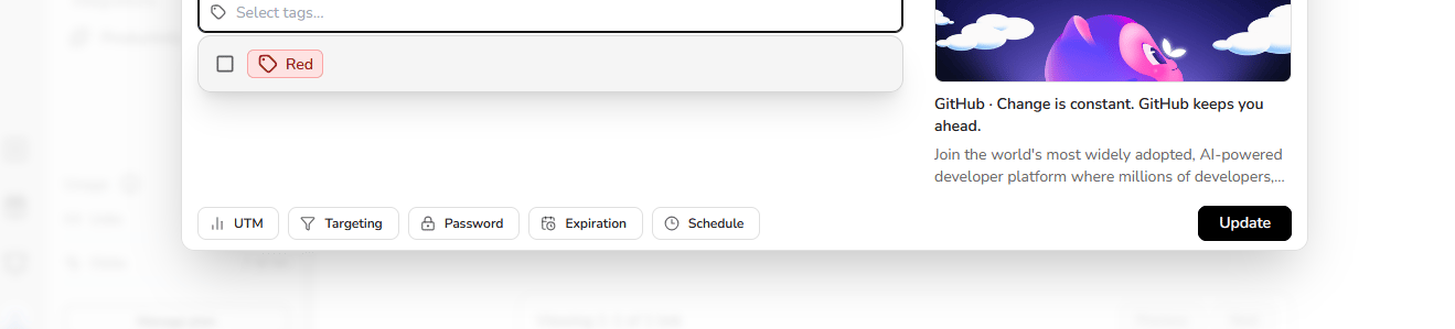 Search engine indexing option in the Biqli link builder